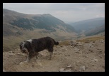 TransAlpina -27-09-2011 - Bogdan Balaban
