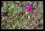 Trascau - Cheile Turzii -12-10-2014 - Bogdan Balaban