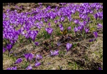 Valea Simbetei -15-04-2018 - Bogdan Balaban