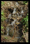 Valea Simbetei -30-04-2011 - Bogdan Balaban