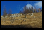 Valea cu Calea -04-12-2011 - Bogdan Balaban