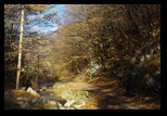 Valea cu Calea -04-12-2011 - Bogdan Balaban