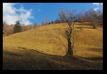 Valea cu Calea -04-12-2011 - Bogdan Balaban