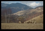 Valea cu Calea -04-12-2011 - Bogdan Balaban