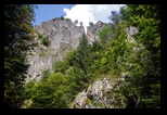 Valea lui Stan -29-08-2018 - Bogdan Balaban