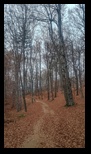 Via Transilvanica - Brasov - Rasnov -09-11-2025 - Bogdan Balaban
