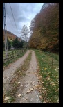 Via Transilvanica Paltin - Poiana Marului -19-10-2025 - Bogdan Balaban