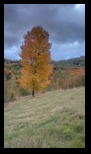 Via Transilvanica Paltin - Poiana Marului -19-10-2025 - Bogdan Balaban