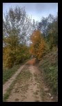 Via Transilvanica Paltin - Poiana Marului -19-10-2025 - Bogdan Balaban