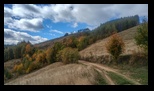Via Transilvanica Paltin - Poiana Marului -19-10-2025 - Bogdan Balaban