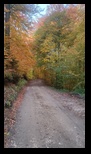 Via Transilvanica Paltin - Poiana Marului -19-10-2025 - Bogdan Balaban