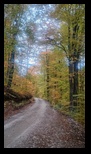 Via Transilvanica Paltin - Poiana Marului -19-10-2025 - Bogdan Balaban