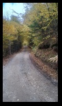 Via Transilvanica Paltin - Poiana Marului -19-10-2025 - Bogdan Balaban
