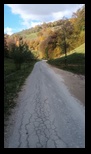 Via Transilvanica Paltin - Poiana Marului -19-10-2025 - Bogdan Balaban