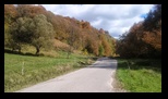 Via Transilvanica Paltin - Poiana Marului -19-10-2025 - Bogdan Balaban