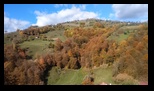 Via Transilvanica Paltin - Poiana Marului -19-10-2025 - Bogdan Balaban