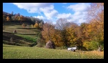 Via Transilvanica Paltin - Poiana Marului -19-10-2025 - Bogdan Balaban