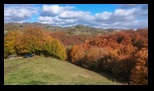 Via Transilvanica Paltin - Poiana Marului -19-10-2025 - Bogdan Balaban
