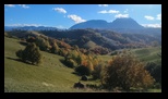 Via Transilvanica Paltin - Poiana Marului -19-10-2025 - Bogdan Balaban