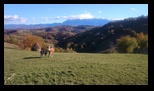 Via Transilvanica Paltin - Poiana Marului -19-10-2025 - Bogdan Balaban