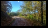 Via Transilvanica Paltin - Sinca Noua -25-10-2025 - Bogdan Balaban