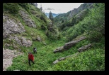Zaganu -29-06-2014 - Bogdan Balaban