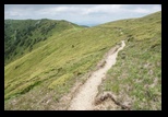 Zaganu -29-06-2014 - Bogdan Balaban