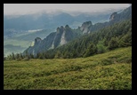 Zaganu -29-06-2014 - Bogdan Balaban