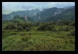 Zaganu -29-06-2014 - Bogdan Balaban