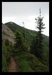 Zaganu -29-06-2014 - Bogdan Balaban