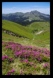 Zaganu -31-05-2018 - Bogdan Balaban