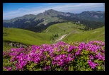 Zaganu -31-05-2018 - Bogdan Balaban