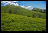 Zaganu -31-05-2018 - Bogdan Balaban