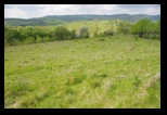 Zarand -01-05-2015 - Bogdan Balaban