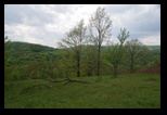Zarand -01-05-2015 - Bogdan Balaban