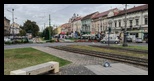 Arad -16-10-2021 - Bogdan Balaban