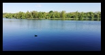 Bucuresti - Parcul Tineretului -09-05-2023 - Bogdan Balaban