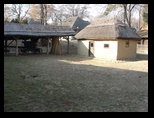 Bucuresti -04-12-2011 - Bogdan Balaban
