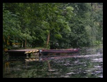 Arcus-09-08-2008 - Bogdan Balaban