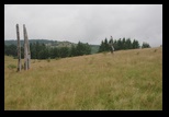 Garana -28-07-2010 - Bogdan Balaban