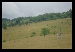 Garana -28-07-2010 - Bogdan Balaban