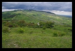 Naieni -15-05-2017 - Bogdan Balaban