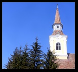 Crit-15-03-2009 - Bogdan Balaban